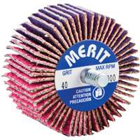 Threaded Mini Flap Wheel, Ceramic Alumina, 40 Grit, 2" x 1" x 1/4"-20 Infinity Industrial Services Inc.