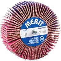 Threaded Mini Flap Wheel, Ceramic Alumina, 40 Grit, 3" x 1" x 1/4"-20 Infinity Industrial Services Inc.