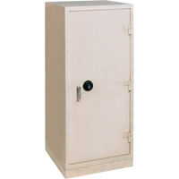 Grand Prix Fire Rated Safe Infinity Industrial Services Inc.