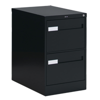 Vertical Filing Cabinet with Recessed Drawer Handles, 2 Drawers, 18.15" W x 26.56" D x 29" H, Black Infinity Industrial Services Inc.
