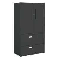 Multi-Stor Cabinet, Steel, 3 Shelves, 65-1/4" H x 36" W x 18" D, Black Infinity Industrial Services Inc.