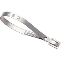 Scell&eacute;s Guard Lock, 8-3/8", M&eacute;tal, Scell&eacute; pour camion Infinity Industrial Services Inc.