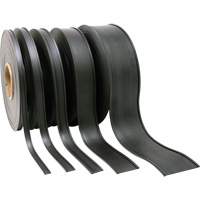 Porte-&eacute;tiquette, Magn&eacute;tique, 600" lo x 2" la Infinity Industrial Services Inc.