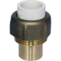 Pipe Union, 1/2", CPVC, Hub x Sweat Infinity Industrial Services Inc.