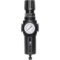 Manual Drain Filter/Regulator with Standard Bowl Modulair 300, 1/4" NPT, 150 PSI, 5.1 fl. oz. Capacity Infinity Industrial Services Inc.