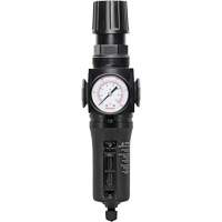 Manual Drain Filter/Regulator with Metal Bowl Modulair 300, 1/4" NPT, 250 PSI, 5.1 fl. oz. Capacity Infinity Industrial Services Inc.
