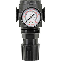 Regulator with Gauge Modulair 300, 1/4" NPT, 300 psi Max. PSI, In Line/Modular Infinity Industrial Services Inc.