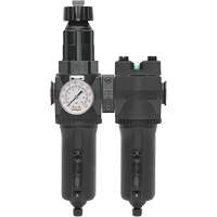 Manual Drain Filter, Regulator & Coalescing Filter with Metal Bowl Modulair 400, 1/4" NPT, 200 psi, 9.1 fl. oz. Capacity Infinity Industrial Services Inc.
