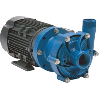 Magnetic Drive Pump with Carbon Bushing Infinity Industrial Services Inc.