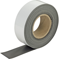 Write-On Magnetic Tags, Magnetic, 600" L x 2" W Infinity Industrial Services Inc.