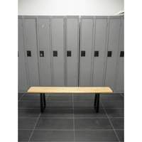 Locker Room Bench, Wood, 48" L x 9-1/4" W x 16-1/2" H Infinity Industrial Services Inc.