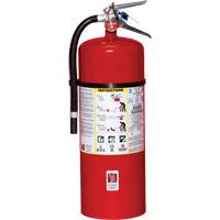 Extincteur d'incendie, ABC, Capacit&eacute; 20 lb Infinity Industrial Services Inc.