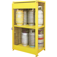 Gas Cylinder Cabinets, 12 Cylinder Capacity, 44" W x 30" D x 74" H, Yellow Infinity Industrial Services Inc.