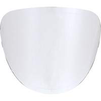 Lentilles de rechange Infinity Industrial Services Inc.