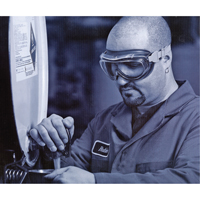 Uvex&reg; Flex Seal Safety Goggles, 3.0 Lens, Anti-Fog, Indirect Vent Infinity Industrial Services Inc.