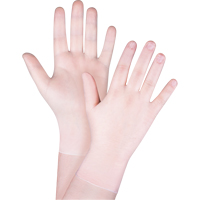 Disposable Gloves, Small, Vinyl, 4.5-mil, Powder-Free, Clear, Class 2 Infinity Industrial Services Inc.
