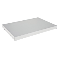 Extra Shelf for Sure-Grip&reg; Ex Flammable Storage Cabinet Infinity Industrial Services Inc.