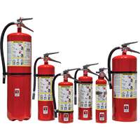 Extincteur d'incendie, ABC, Capacit&eacute; 30 lb Infinity Industrial Services Inc.