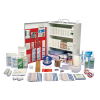 Workplace Deluxe First Aid Kits, Class 1 Medical Device, Metal Box Infinity Industrial Services Inc.