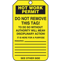 Inspection Tags, Cardstock, 3-1/8" W x 5-7/8" H, English Infinity Industrial Services Inc.