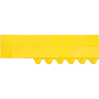 Rampe de bordure pour tapis Infinity Industrial Services Inc.