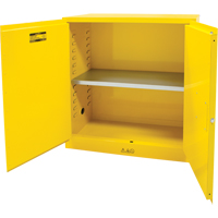 Flammable Storage Cabinet, 30 gal., 2 Door, 43" W x 44" H x 18" D Infinity Industrial Services Inc.