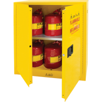 Flammable Storage Cabinet, 30 gal., 2 Door, 43" W x 44" H x 18" D Infinity Industrial Services Inc.