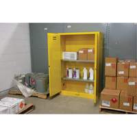 Flammable Storage Cabinet, 45 gal., 2 Door, 43" W x 65" H x 18" D Infinity Industrial Services Inc.