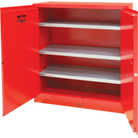 Armoire pour peintures et encres, 45 gal., 3 tablettes Infinity Industrial Services Inc.