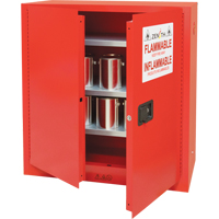 Armoire pour peintures et encres, 45 gal., 3 tablettes Infinity Industrial Services Inc.