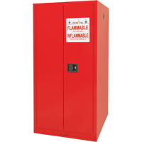 Armoire pour peintures et encres, 96 gal., 5 tablettes Infinity Industrial Services Inc.