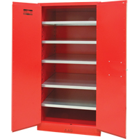 Armoire pour peintures et encres, 96 gal., 5 tablettes Infinity Industrial Services Inc.