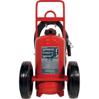 Extincteurs Red Line sur roues, BC, Capacit&eacute; 125 lb Infinity Industrial Services Inc.