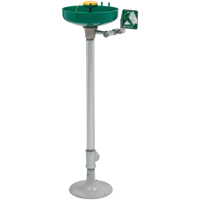 Axion&reg; Eye/Face Wash Station, Pedestal Installation, Plastic Bowl Infinity Industrial Services Inc.