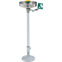 Axion&reg; Eye/Face Wash Station, Pedestal Installation, Stainless Steel Bowl Infinity Industrial Services Inc.