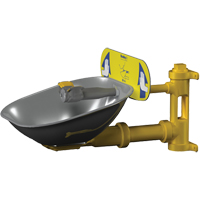 Poste de douche oculaire Halo, Installation Montage mural, Bol Acier inoxydable Infinity Industrial Services Inc.