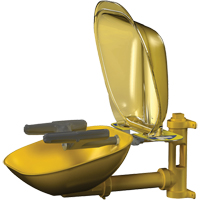 Postes de douche oculaire/faciale Halo, Installation Montage mural, Bol Plastique Infinity Industrial Services Inc.