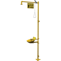 Combinaison de douche d'urgence & douche oculaire Halo Infinity Industrial Services Inc.