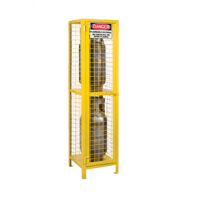 Gas Cylinder Cabinets, 2 Cylinder Capacity, 17" W x 17" D x 69" H, Yellow Infinity Industrial Services Inc.