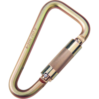 Saflok Carabiners, Steel, 3600 lbs Capacity Infinity Industrial Services Inc.