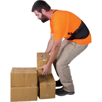 Back Support, Elastic, Medium Infinity Industrial Services Inc.