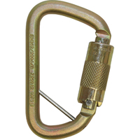 Rollgliss Technical Rescue Offset D Fall Arrest Carabiner, Steel, 3600 lbs Capacity Infinity Industrial Services Inc.