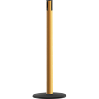 Advance TensaBarrier&reg; - Receiver Post, 36" High, Yellow Infinity Industrial Services Inc.