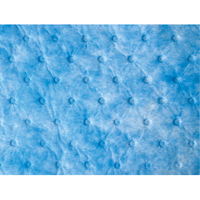 Balayage absorbant pour huile seulement Infinity Industrial Services Inc.