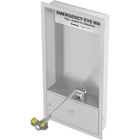 Eyewash Station, Wall-Mount Installation, Stainless Steel Bowl Infinity Industrial Services Inc.