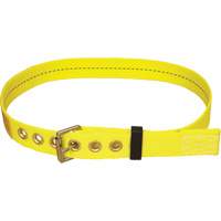 Ceinture avec boucle &agrave; ardillon Delta Infinity Industrial Services Inc.