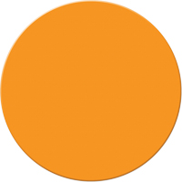 Marqueurs all&eacute;g&eacute;e/5S Armor Stripe, Cercle, 6" lo x 6" la, Orange, Plastique Infinity Industrial Services Inc.