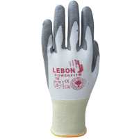 Gants r&eacute;sistants &agrave; la coupe PowerFit Lebon, Taille Grand/9, Calibre 13, Rev&ecirc;tement Polyur&eacute;thane, Enveloppe en Poly&eacute;thyl&egrave;ne, ASTM ANSI niveau A2/EN 388 niveau B Infinity Industrial Services Inc.