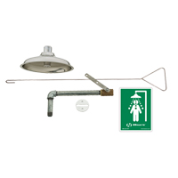 Drench Shower, Ceiling-Mount Infinity Industrial Services Inc.