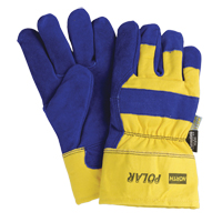 Performance & Ergonomic Gloves